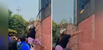 Peruana cruza seguridad para alimentar a monos en el Parque de las Leyendas y provoca indignación en redes: "Está prohibido" Peruana cruza seguridad para alimentar a monos en el Parque de las Leyendas y provoca indignación en redes: "Está prohibido"