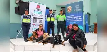 La exclusiva oficina que albergará denuncias de maltrato animal en comisaría de Santiago de Surco La exclusiva oficina que albergará denuncias de maltrato animal en comisaría de Santiago de Surco