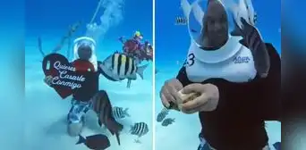 Hombre pidió matrimonio bajo el mar y romántico gesto es viral: “Cuando hay amor, hay imaginación infinita" Hombre pidió matrimonio bajo el mar y romántico gesto es viral: “Cuando hay amor, hay imaginación infinita"
