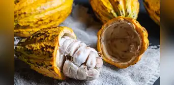 Este es el producto peruano que registró más de US$300 millones en ventas por exportación en el primer trimestre de 2025, según Mincetur Este es el producto peruano que registró más de US$300 millones en ventas por exportación en el primer trimestre de 2025, según Mincetur