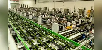 Ley Chlimper 2.0: Congreso busca ahora que agroexportadoras paguen la mitad del impuesto a la renta a plazo indefinido Ley Chlimper 2.0: Congreso busca ahora que agroexportadoras paguen la mitad del impuesto a la renta a plazo indefinido