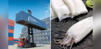 Corea del Sur supera a China como destino de exportación de este exquisito producto marino del Perú en 2025 Corea del Sur supera a China como destino de exportación de este exquisito producto marino del Perú en 2025