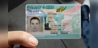 Inmigrantes que cumplan esta edad en 2025 deberán renovar su Green Card obligatoriamente por esta razón Inmigrantes que cumplan esta edad en 2025 deberán renovar su Green Card obligatoriamente por esta razón