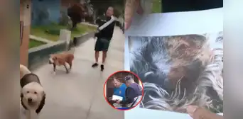 Surquillo: vecino recibe fuerte multa por sacar a perros sin bozal, mascota anteriormente mató a perrita Surquillo: vecino recibe fuerte multa por sacar a perros sin bozal, mascota anteriormente mató a perrita