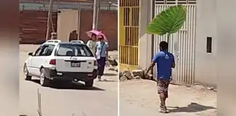 Peruano se cubre del sol con hoja 'gigante' y es furor en redes: “No me va a vencer la pobreza”