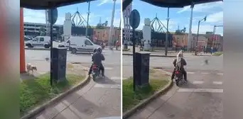 Perrito callejero sorprende al subirse a la moto de un desconocido: "Se adoptó solito"