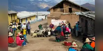 Jóvenes son motores de cambio en la educación de comunidades vulnerables en Perú, según experta Jóvenes son motores de cambio en la educación de comunidades vulnerables en Perú, según experta