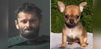 Hombre de Alabama es acusado de quemar vivo a su chihuahua porque ladraba mucho: deberá pagar fianza de US$15.000 Hombre de Alabama es acusado de quemar vivo a su chihuahua porque ladraba mucho: deberá pagar fianza de US$15.000