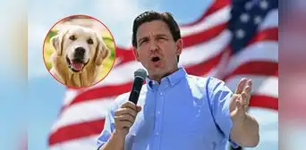 Ron DeSantis a favor de la protección animal en Florida: ¿conoces la Ley Trooper y Ley Dexter? Ron DeSantis a favor de la protección animal en Florida: ¿conoces la Ley Trooper y Ley Dexter?