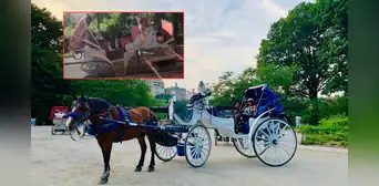 Accidente en Central Park por choque de carruajes deja 2 heridos: NYCLASS denuncia la inseguridad de esta práctica