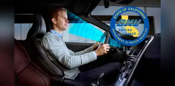 Alerta: conductores de Texas denuncian que reciben supuestas multas fraudulentas del DMV por mensaje de texto Alerta: conductores de Texas denuncian que reciben supuestas multas fraudulentas del DMV por mensaje de texto