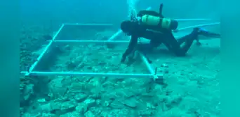 Arqueólogos encuentran una extraña 'carretera' de piedra sumergida bajo el mar de al menos 7.000 años de antigüedad Arqueólogos encuentran una extraña 'carretera' de piedra sumergida bajo el mar de al menos 7.000 años de antigüedad