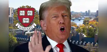 Duro golpe de Trump en EEUU: presidente propone limitar estudiantes extranjeros de Harvard al 15%