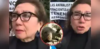 Mujer tras ser multada con S/2.600 por alimentar ardillas en Surquillo: "No les interesa lo que le pasa a los animales" Mujer tras ser multada con S/2.600 por alimentar ardillas en Surquillo: "No les interesa lo que le pasa a los animales"