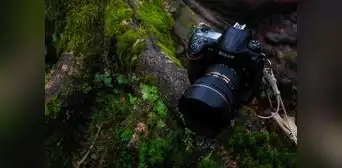 Lanzan el Primer Concurso de Cortometrajes Amazónicos del Festival de Arte (SOS)tenible - Ipanamu Lanzan el Primer Concurso de Cortometrajes Amazónicos del Festival de Arte (SOS)tenible - Ipanamu
