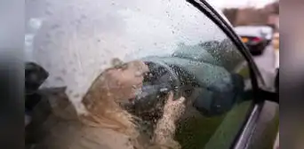 ¿Cómo mejorar la visibilidad de tu vehículo de noche o bajo la lluvia?: consejos prácticos y efectivos