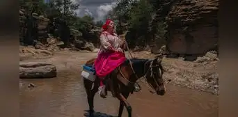 Julia Paredes, la enfermera que recorre a caballo la sierra de Chihuahua para llevar vacunas a comunidades alejadas Julia Paredes, la enfermera que recorre a caballo la sierra de Chihuahua para llevar vacunas a comunidades alejadas