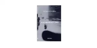 Poeta Gloria Portugal publica primer libro de relatos:  "A lo mejor soy otro"