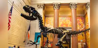 Museos Gratis en Nueva York: conoce los centros culturales que podrás visitar sin costo este verano de 2025 Museos Gratis en Nueva York: conoce los centros culturales que podrás visitar sin costo este verano de 2025