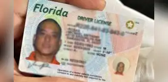 Adiós a la licencia de conducir: Florida multará y retendrá el carné a conductores que no cumplan con esta indicación