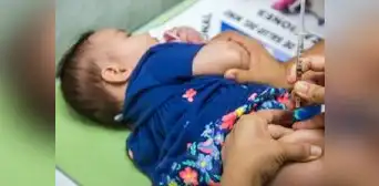 Tos ferina en aumento: Perú registra su mayor brote en cinco años con más de 600 casos Tos ferina en aumento: Perú registra su mayor brote en cinco años con más de 600 casos