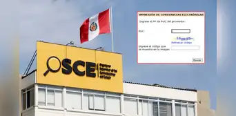 ¿Cómo solicitar e imprimir la constancia de inscripción en el Registro Nacional de Proveedores?