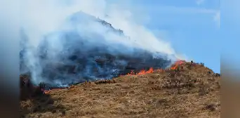 Cusco perdió más de 111 mil hectáreas de bosque en los últimos años