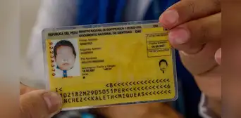 ¿Cómo ver online el DNI amarillo de mi hijo si se perdió y cómo generar su duplicado?