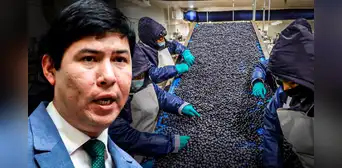 Congreso aprueba Ley Chlimper 2.0 con beneficios tributarios para grandes agroexportadoras Congreso aprueba Ley Chlimper 2.0 con beneficios tributarios para grandes agroexportadoras