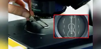 Científicos crean el violín más pequeño del mundo: mide menos que un cabello y podría cambiar la industria de los chips
