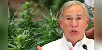 En manos de Greg Abbott: proyecto de ley que prohíbe el THC espera firma del gobernador de Texas En manos de Greg Abbott: proyecto de ley que prohíbe el THC espera firma del gobernador de Texas