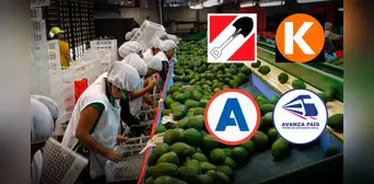 Ley Chlimper 2.0 en manos del Congreso: así votaron las bancadas para favorecer a grandes agroexportadoras Ley Chlimper 2.0 en manos del Congreso: así votaron las bancadas para favorecer a grandes agroexportadoras