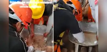 Obreros preparan el verdadero ‘ceviche carretillero’ y causan furor en redes: “100% hierro”
