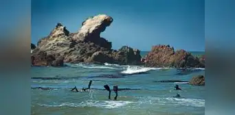 Perú lidera la protección de los océanos en la UNOC 2025 Perú lidera la protección de los océanos en la UNOC 2025