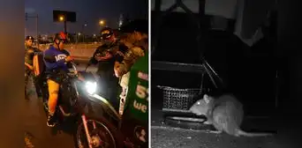Rata fuga en pleno operativo de la policía a motocicletas en Trujillo y en redes bromean: “No tenía chaleco”