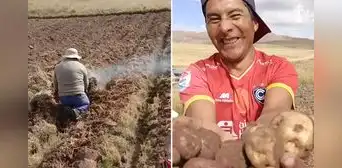 "Habemus papas": Agricultor peruano bromea sobre el papa León XIV durante cosecha y muestra humo blanco "Habemus papas": Agricultor peruano bromea sobre el papa León XIV durante cosecha y muestra humo blanco