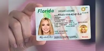 Licencia de conducir en Florida: todo lo que debes saber sobre los nuevos requisitos para obtener el carnet en 2025 Licencia de conducir en Florida: todo lo que debes saber sobre los nuevos requisitos para obtener el carnet en 2025