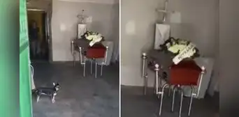 Joven va a cobrar deuda a cliente, pero descubre que falleció: “Hace 3 días le hice el crédito” Joven va a cobrar deuda a cliente, pero descubre que falleció: “Hace 3 días le hice el crédito”