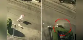 Joven aeromoza y su mascota sufren brutal ataque de rottweiler en Chorrillos: terminó con 32 puntos de sutura Joven aeromoza y su mascota sufren brutal ataque de rottweiler en Chorrillos: terminó con 32 puntos de sutura