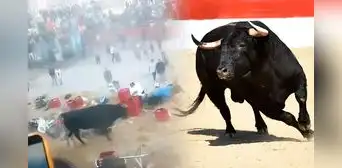 Toro desata el caos tras escaparse durante festival en Ayacucho: embistió a los asistentes y dejó al menos 10 heridos