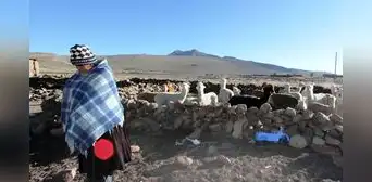Heladas azotan Puno: Senamhi alerta sobre próximas temperaturas de congelamiento de hasta menos 20 grados