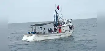 Hallan con vida a 10 pescadores desaparecidos en mar de Ica hace más de una semana: estaban a 50 millas de la costa de Pisco Hallan con vida a 10 pescadores desaparecidos en mar de Ica hace más de una semana: estaban a 50 millas de la costa de Pisco