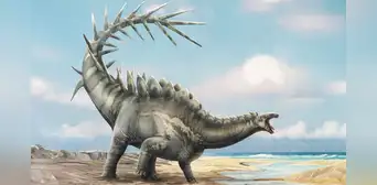 El cráneo de un estegosaurio español de 150 millones de años cambiaría la historia de la evolución de los dinosaurios El cráneo de un estegosaurio español de 150 millones de años cambiaría la historia de la evolución de los dinosaurios
