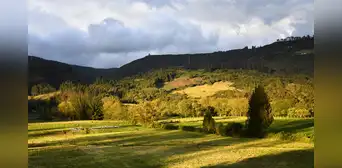 Científicos descubren que unos misteriosos habitantes vivieron en Sudamérica y desaparecieron por completo hace 2.000 años Científicos descubren que unos misteriosos habitantes vivieron en Sudamérica y desaparecieron por completo hace 2.000 años