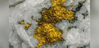 Geólogos señalan que grandes pepitas de oro se podrían formar debido a terremotos y el cuarzo, según estudio científico Geólogos señalan que grandes pepitas de oro se podrían formar debido a terremotos y el cuarzo, según estudio científico