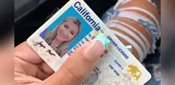 Gobierno de Estados Unidos confirma que estas licencias de conducir vencidas podrán seguir usándose en 2025 Gobierno de Estados Unidos confirma que estas licencias de conducir vencidas podrán seguir usándose en 2025
