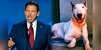 Aviso importante de Ron DeSantis en Florida: ley firmada sancionará abandono de perros con esta cantidad de años en prisión