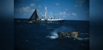 Tratado de Alta Mar agita a empresarios, pero no afecta soberanía del Perú Tratado de Alta Mar agita a empresarios, pero no afecta soberanía del Perú