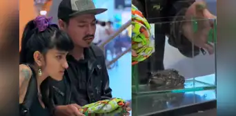 Pareja intentó tomar vuelo de Perú a México con un sapo como mascota y se vuelve viral : "Es nuestro hijo" Pareja intentó tomar vuelo de Perú a México con un sapo como mascota y se vuelve viral : "Es nuestro hijo"