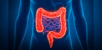 Experto de Harvard dice que este alimento es el mejor aliado natural para prevenir el cáncer de colon: es rico en probióticos Experto de Harvard dice que este alimento es el mejor aliado natural para prevenir el cáncer de colon: es rico en probióticos